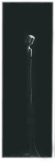 picture of Shure 556